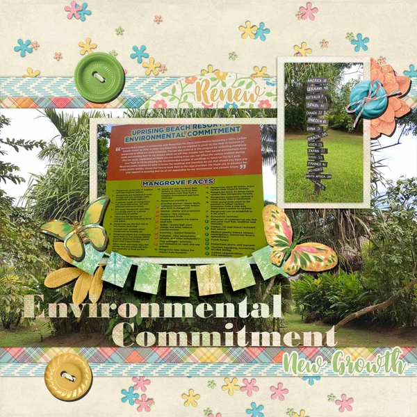 Mangroves