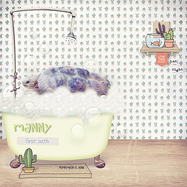 Manny's first bath