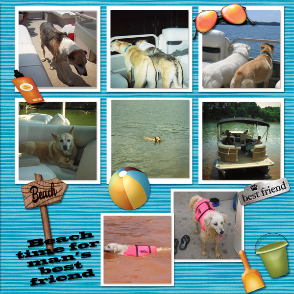 Man's best friend beach