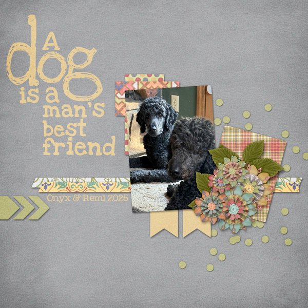Man's Best Friend