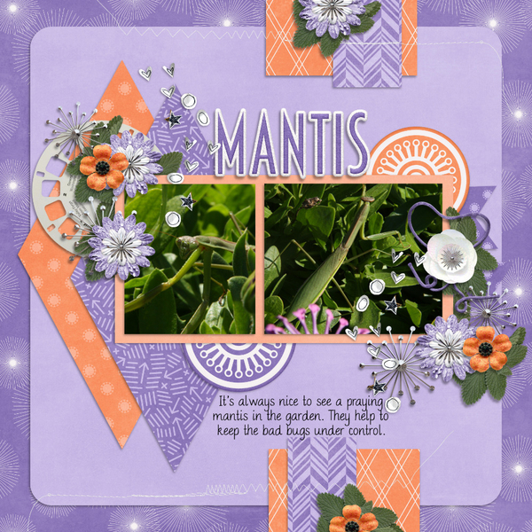 Mantis