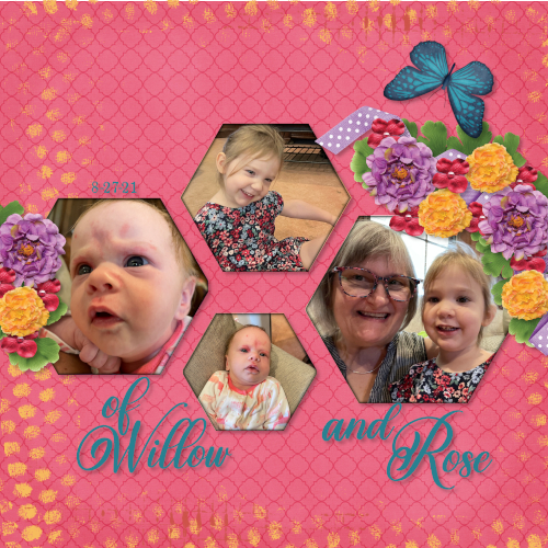 Many faces companion