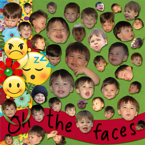 Many Faces L