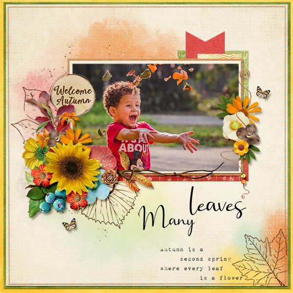 Many leaves