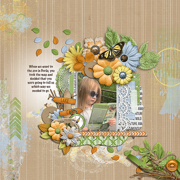 map-reader