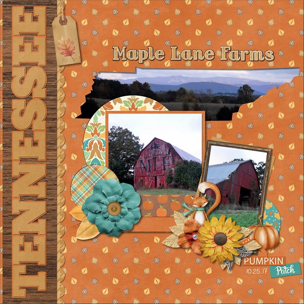 Maple Lane Farms