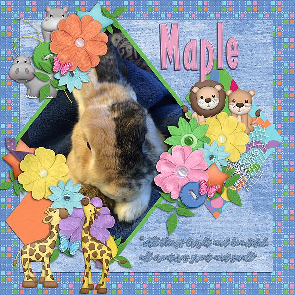 Maple