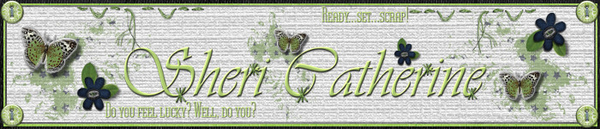 Mar 2014 Siggy