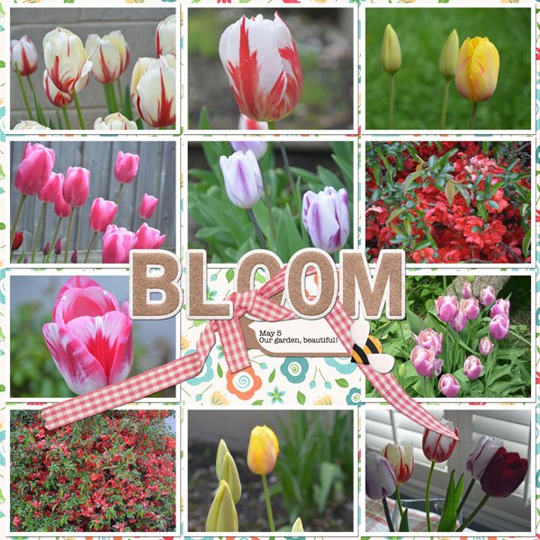 Mar-2025-Pinterest.jpg