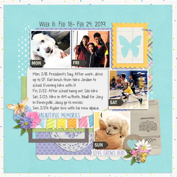 Mar Designer Spotlight Challenge
