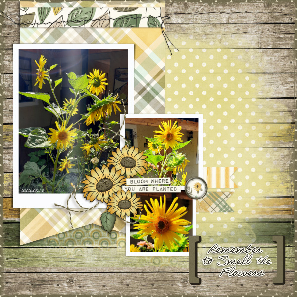 Mar22 PerfectlyPaired