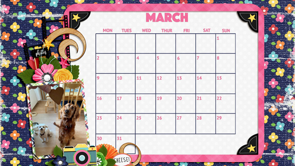 March-20 Desktop