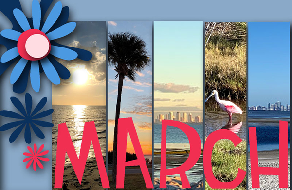 March 2019 Desktop