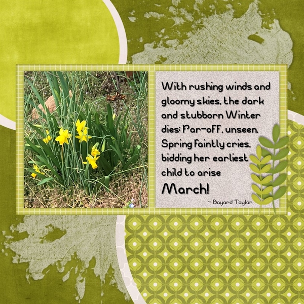 March 2020 Designer Spotlight Challenge