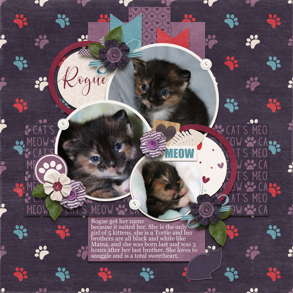 March 2020 Template Bundle - Cat's Meow