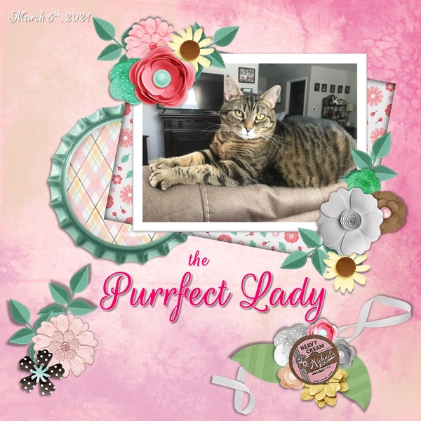 March 2021 Template #1 Challenge