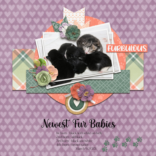 March 2023 Template Bundle - Cattitude