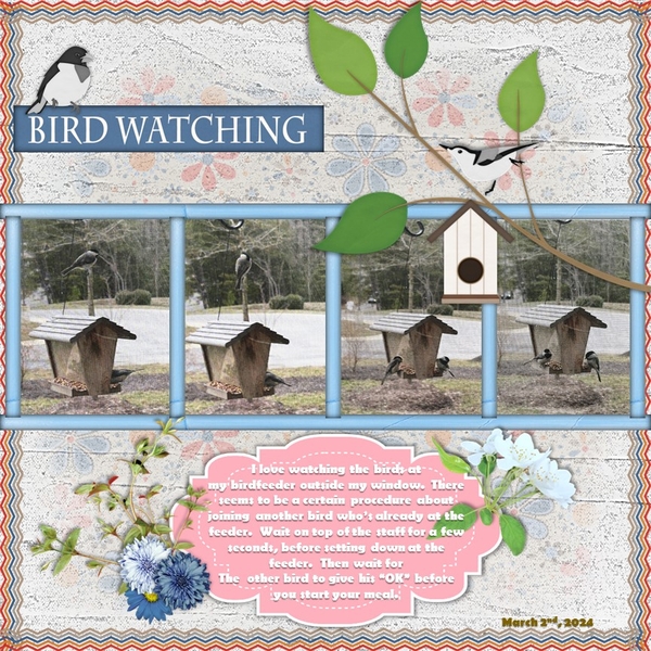 March 2024 Photography Challenge