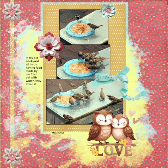 March 2025-Documenting Your Life-Feeding the birds.jpg