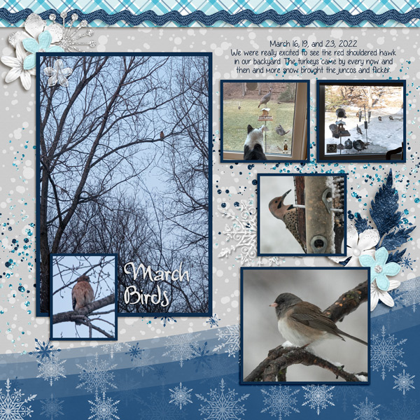 March Birds