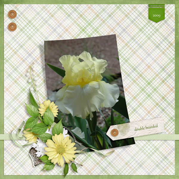 March Color Challenge - iris