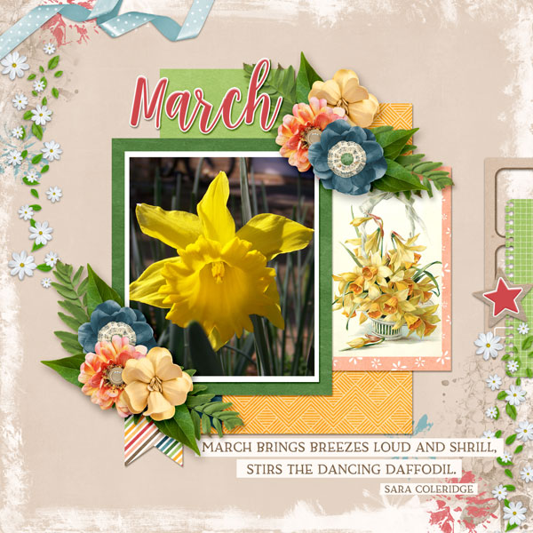 March Daffodil