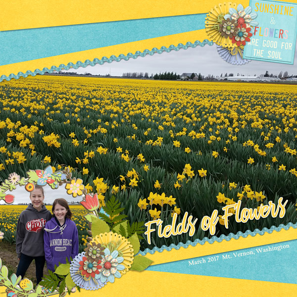 March-DaffodilsWEB