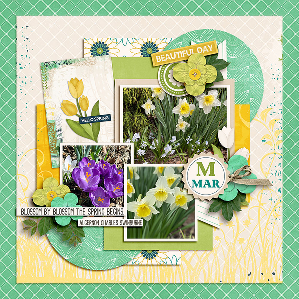 March-Flowers