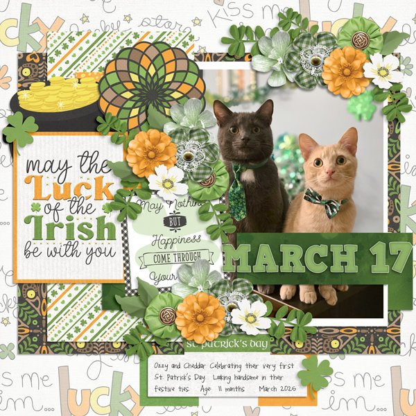 March-into-Spring-Luck-of-the-Irish.jpg