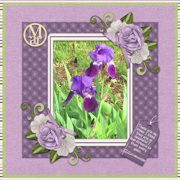 March Irises