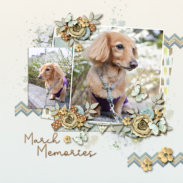 March Memories