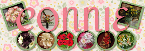 March Siggie