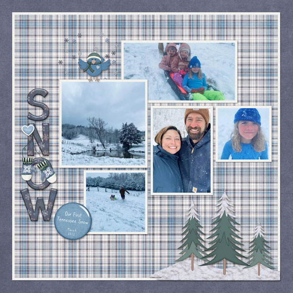 March Snow