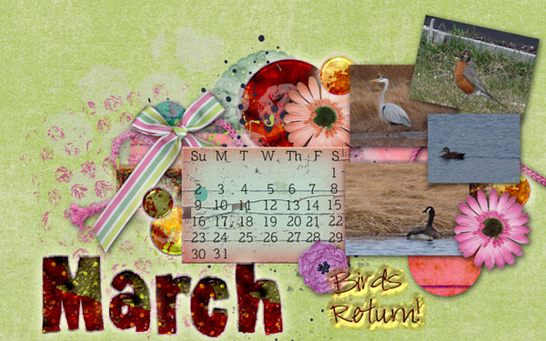 March The Birds Return