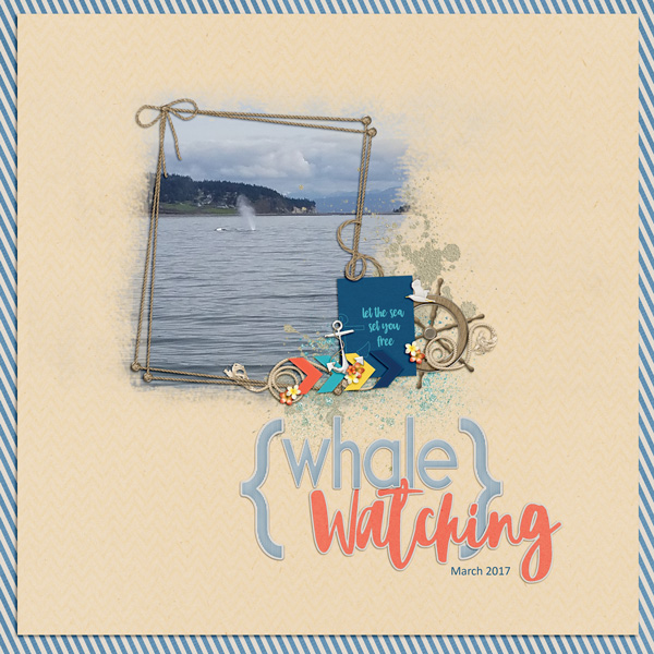 March-Whale-WatchingWEB
