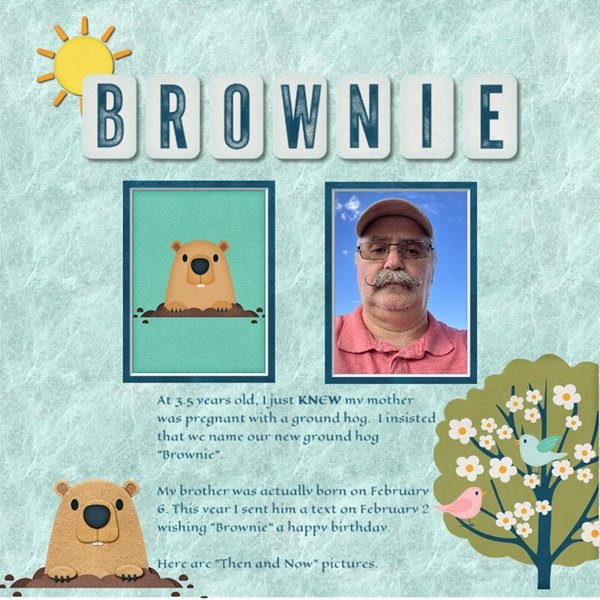 March2026_MSG_Spotlight_Brownie.jpg