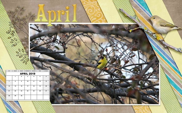 March_2019