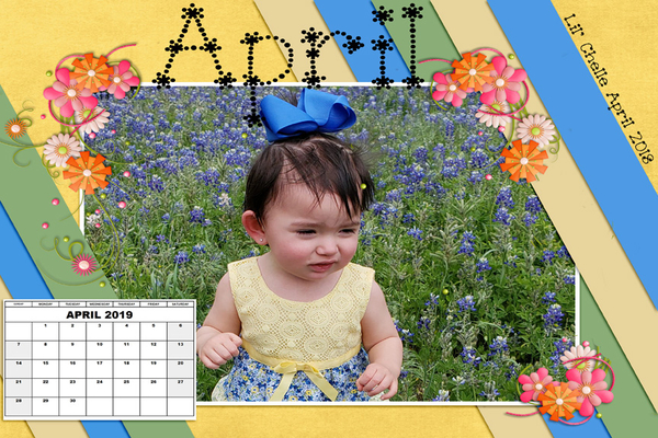 MARCH_2019_DesktopChallenge_rs