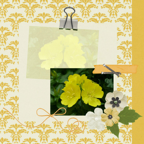 March_mix_it_up_ccg