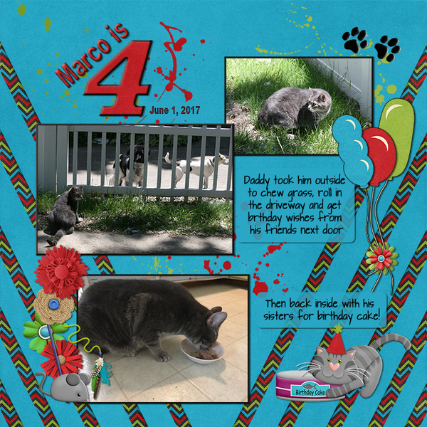 Marco is 4