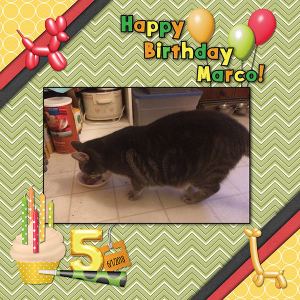 Marco Is 5