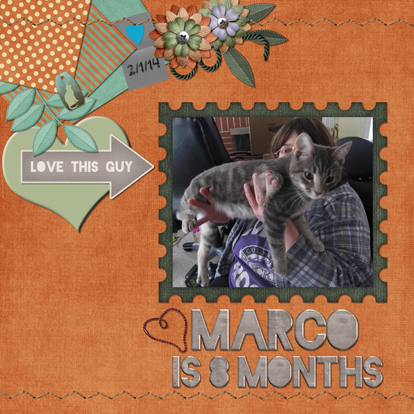Marco is 8 months