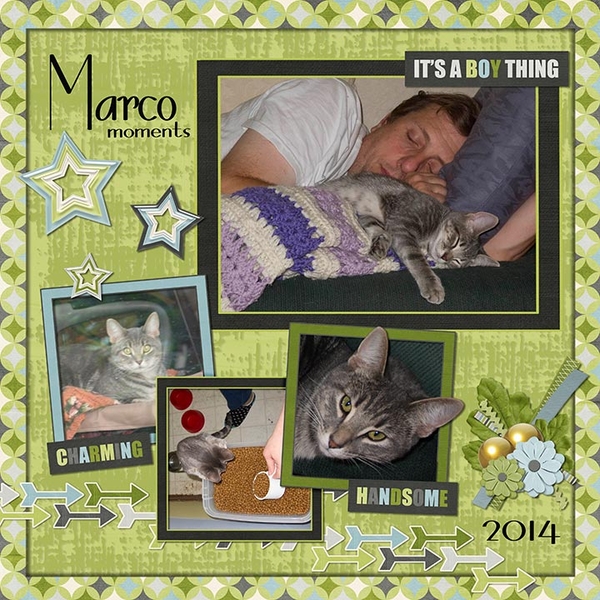 Marco Moments