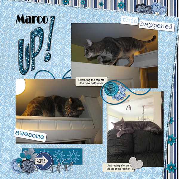 Marco Up!