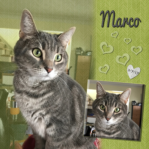 Marco