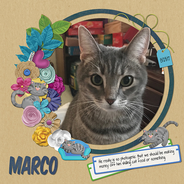 Marco