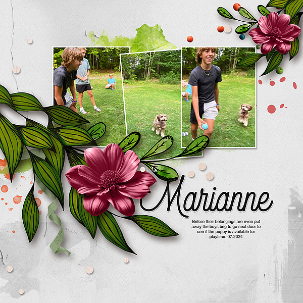 Marianne 2024