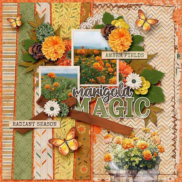 Marigold Magic