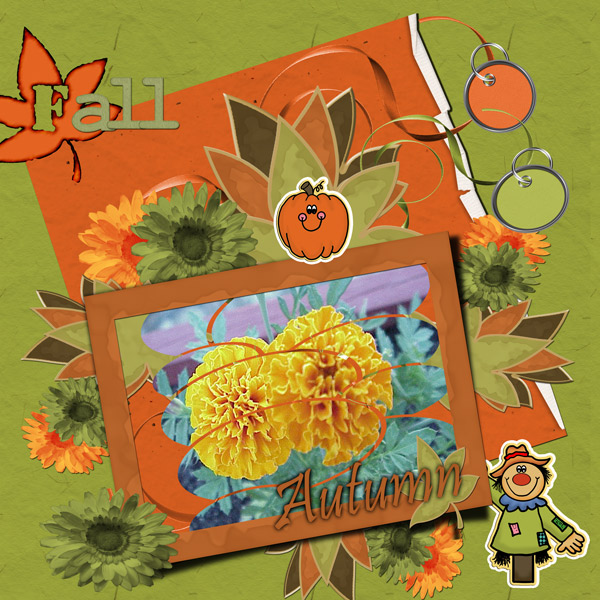 marigold