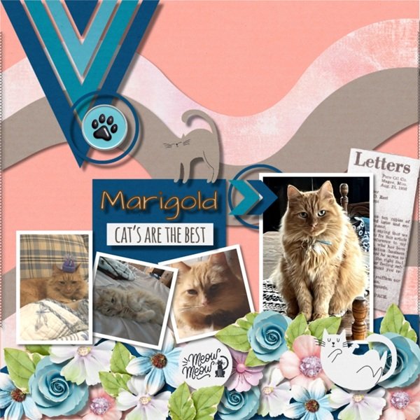 Marigold